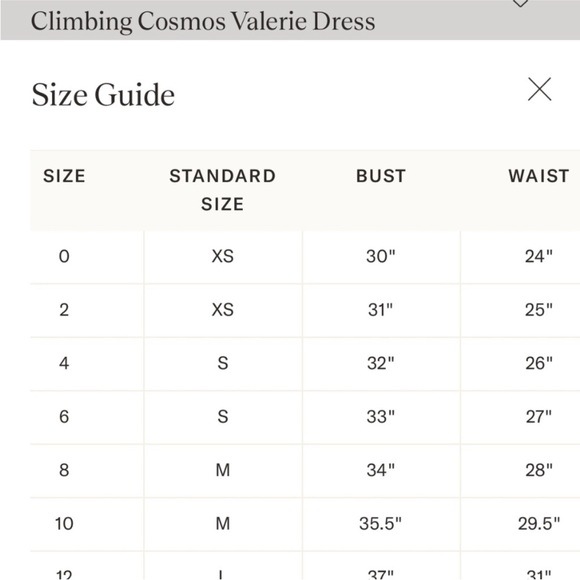 Tuckernuck climbing cosmos maxi dress - Picture 3 of 8